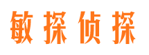 芦山婚外情调查取证